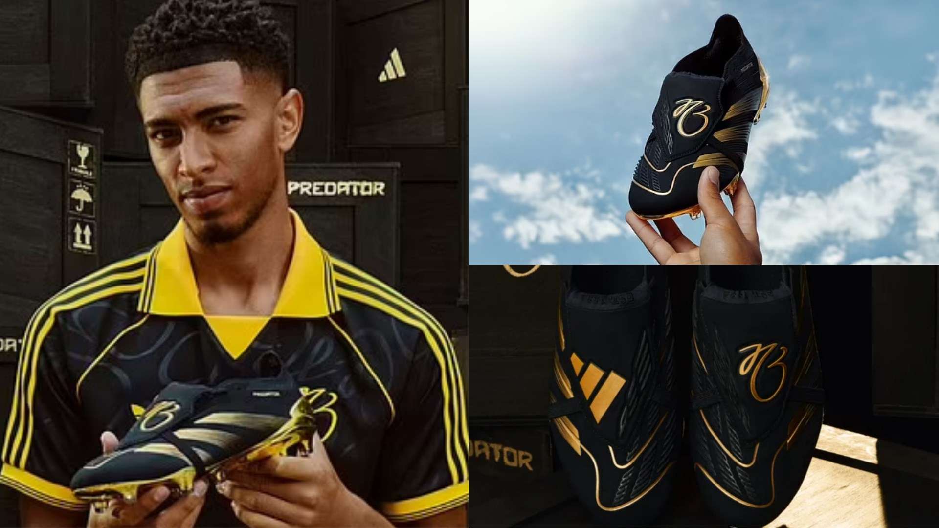 也反映了她 也反映了她