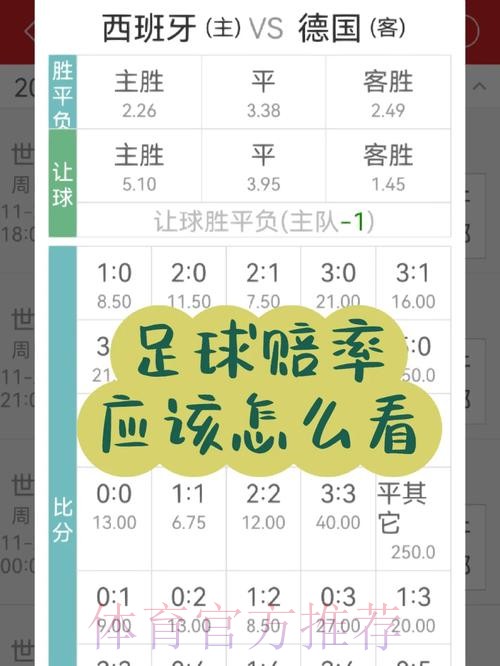 世界杯投注入门指南:新手快速掌握赔率分析 世界杯投注入门指南:新手快速掌握赔率分析